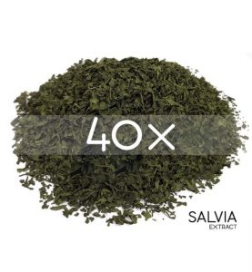 Salvia Extract 40X